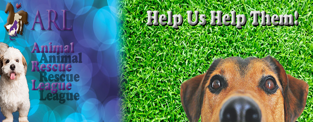 Animal Rescue League banner